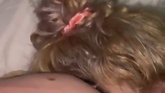 後悔している恋人、あなたのペニスにオーラルセックスを許して!